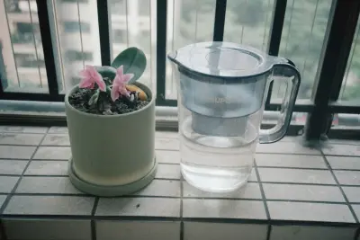 Water filter jug with its cartridge showing, next to a potted orchid on a tiled windowsill, the kind of jug compared in this best water filter jug guide