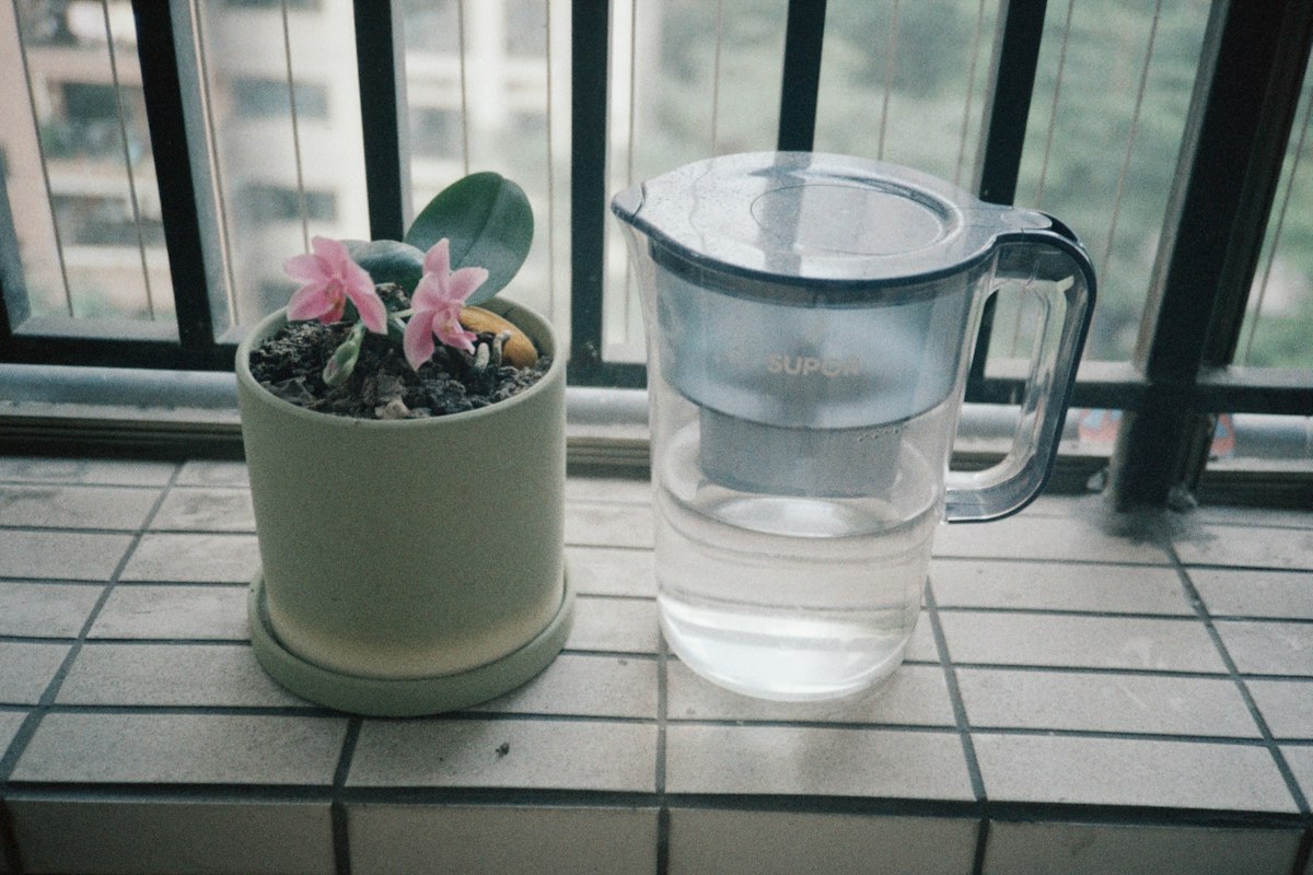 Water filter jug with its cartridge showing, next to a potted orchid on a tiled windowsill, the kind of jug compared in this best water filter jug guide