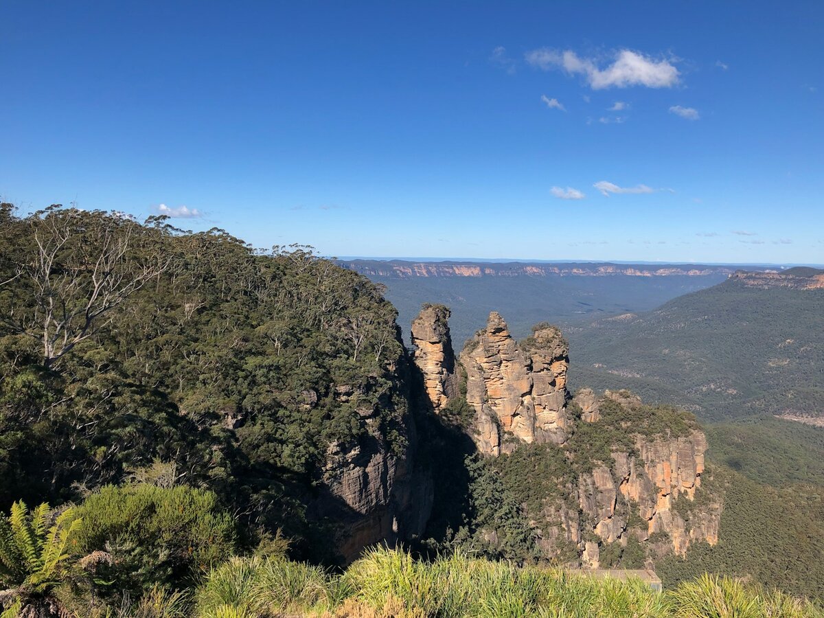 Blue Mountains bushland catchment near Katoomba that feeds the Cascade drinking water supply, focus of recent NSW PFAS water quality issues